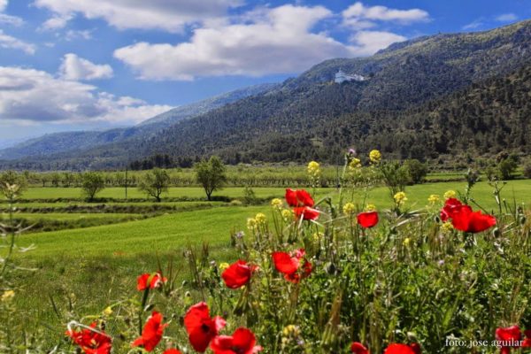 destinos ideales para esta primavera 