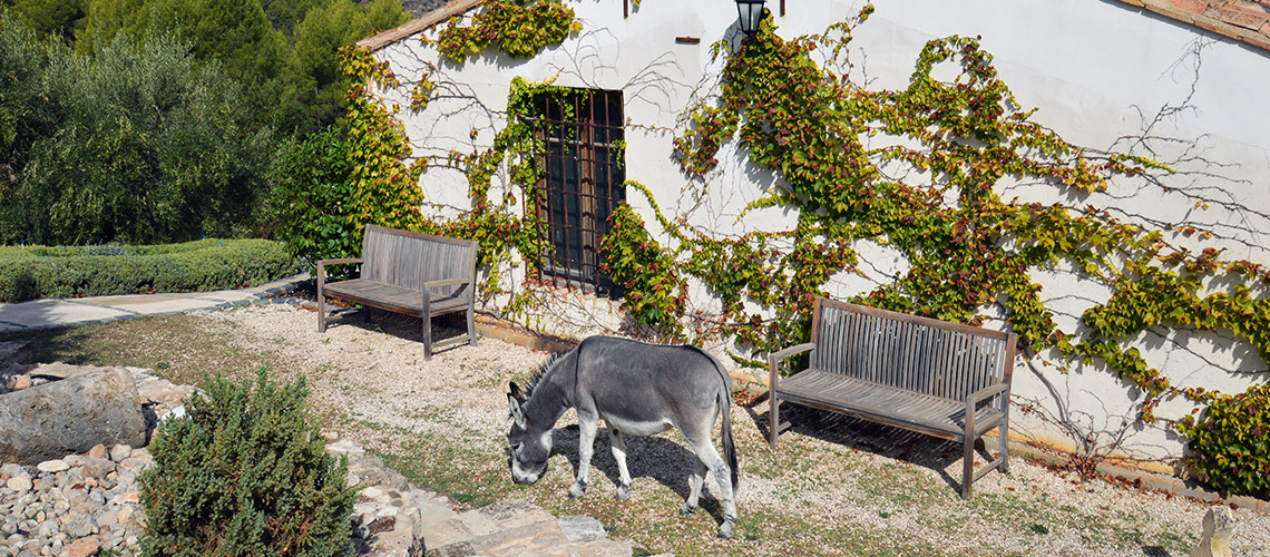 Hotel Rural Masia La Mota