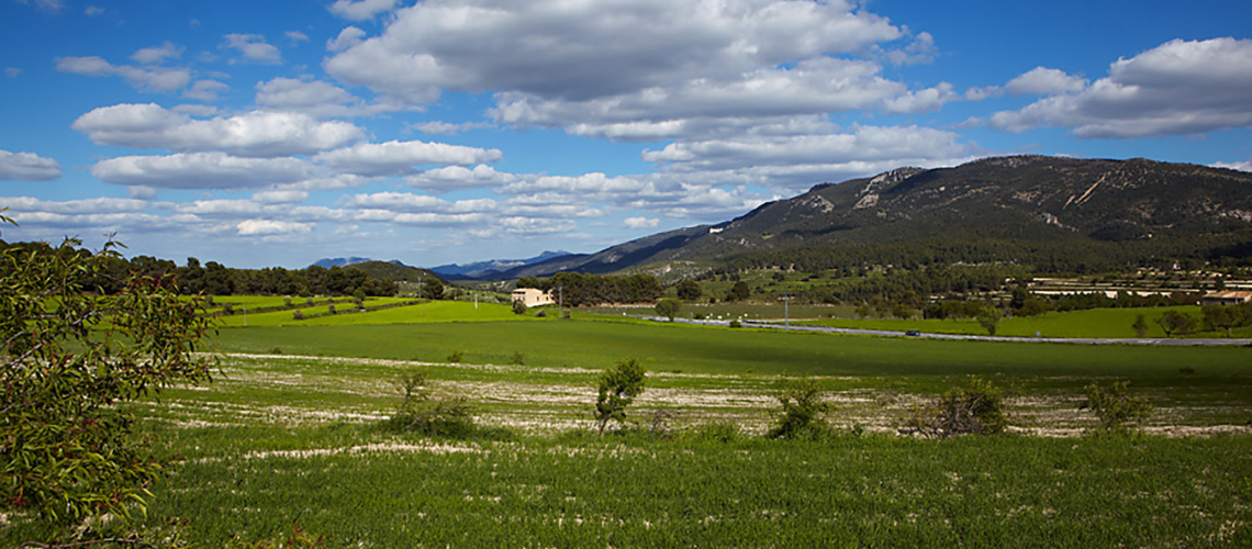 Valle de Polop 8