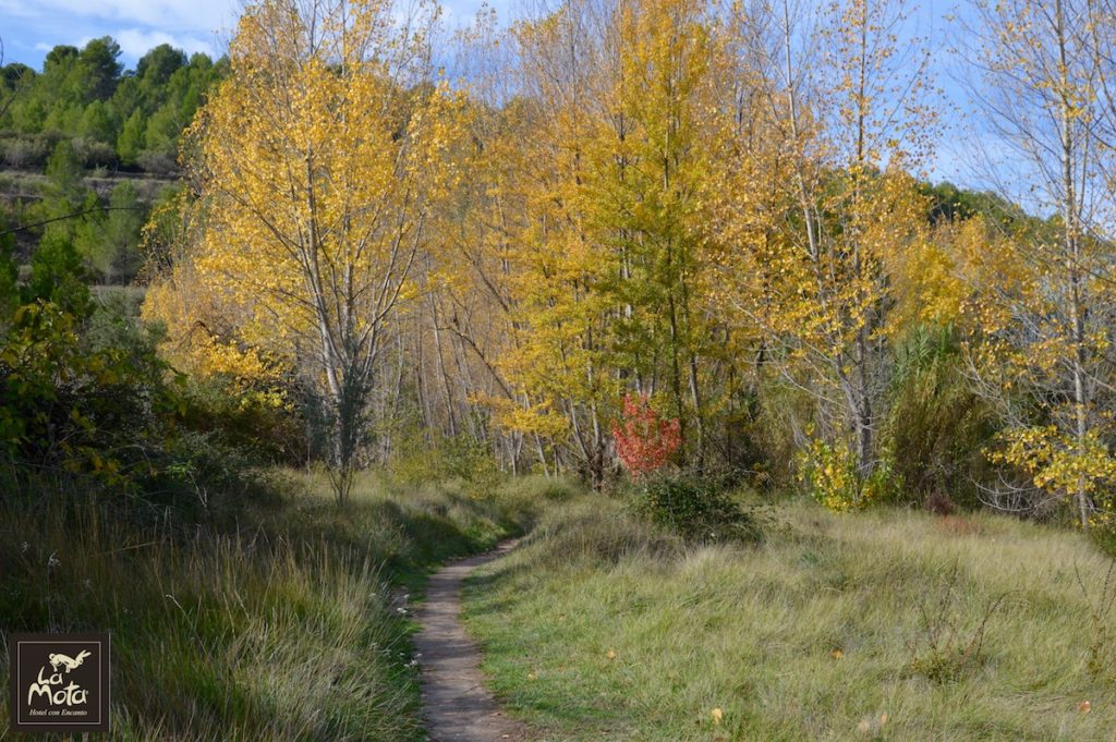 Otoño en Hotel con encanto Masia la Mota