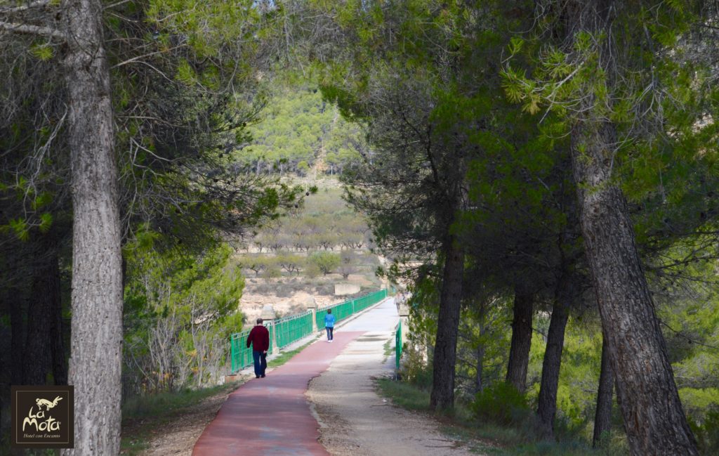 via-verde-de-alcoy