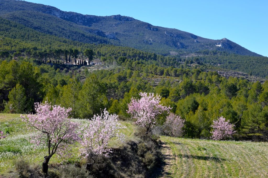 Parque Natural Font Roja uno de los más visitados de la Comunidad Valenciana 