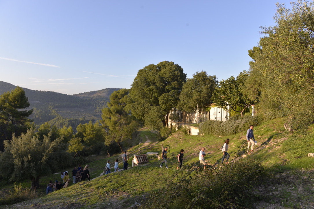 visita guiada oleoturismo masia la mota